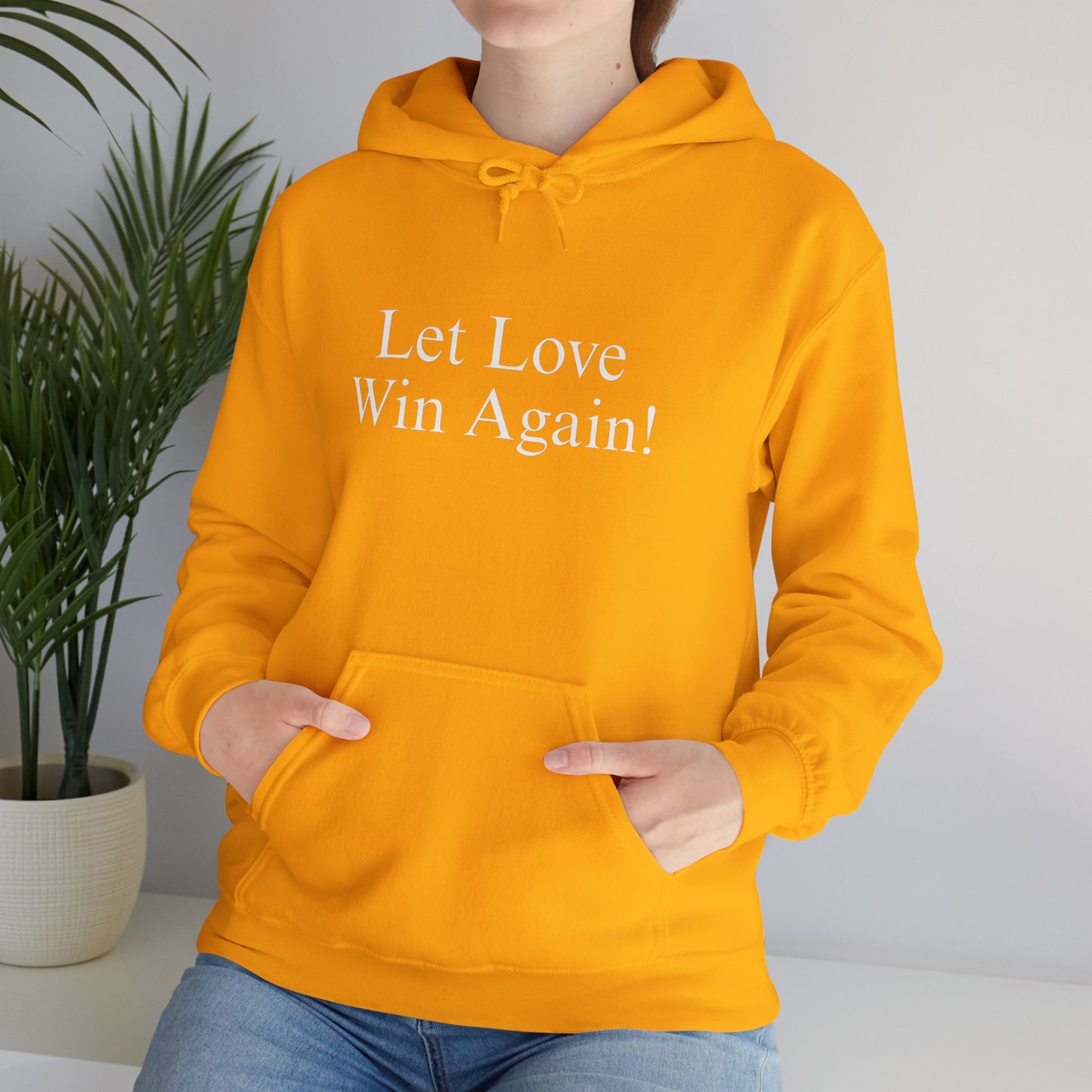 Let Love Win Again Hoodie